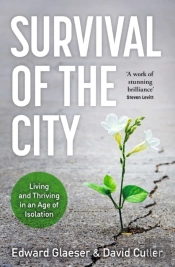 Survival Of The City