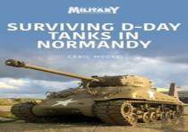 Surviving D-Day Tanks In Normandy