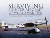 Surviving Fighter Aircraft Ww2