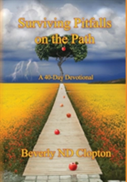Bertrand.pt - Surviving Pitfalls On The Path