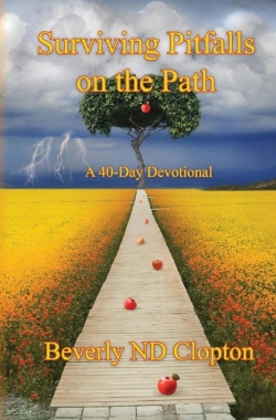 Bertrand.pt - Surviving Pitfalls On The Path