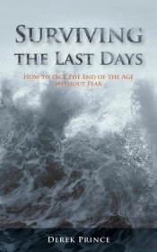 Surviving The Last Days