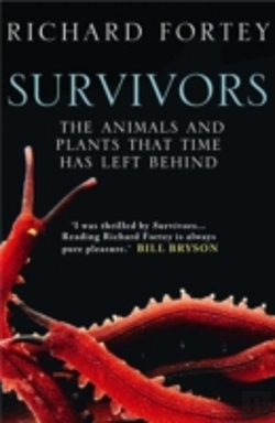 Bertrand.pt - Survivors