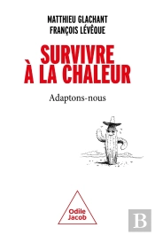 Survivre À La Chaleur : Adaptons-Nous