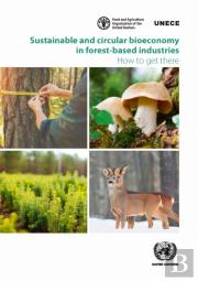 Sustainable And Circular Bioeconomy In Forest-Based Industries