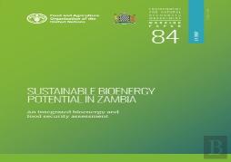 Sustainable Bioenergy Potential In Zambia