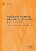 Sustainable Businesses In Developing Economies