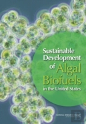 Sustainable Development Of Algal Biofuels In The United States