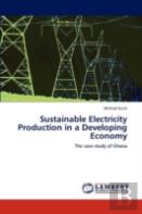 Sustainable Electricity Production In A Developing Economy