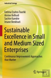 Sustainable Excellence In Small And Medium Sized Enterprises