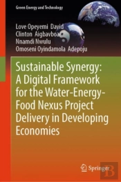 Sustainable Synergy: A Digital Framework For The Water-Energy-Food Nexus Project Delivery In Developing Economies