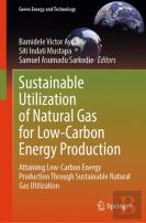 Sustainable Utilization Of Natural Gas For Low-Carbon Energy Production