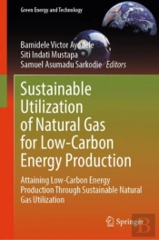 Sustainable Utilization Of Natural Gas For Low-Carbon Energy Production