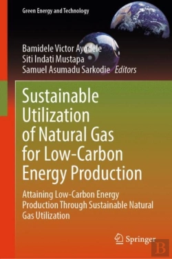 Bertrand.pt - Sustainable Utilization Of Natural Gas For Low-Carbon Energy Production