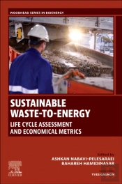 Sustainable Waste-To-Energy