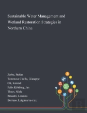 Sustainable Water Management And Wetland Restoration Strategies In Northern China