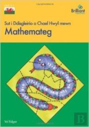 Sut I Ddisgleirio A Chael Hwyl Mewn Mathemateg