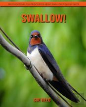 Swallow! An Educational Children'S Book About Swallow With Fun Facts