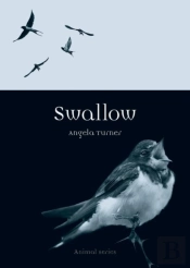 Swallow