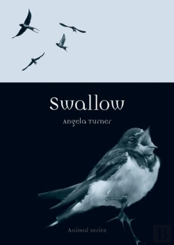 Bertrand.pt - Swallow