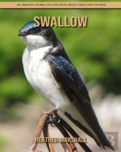 Swallow