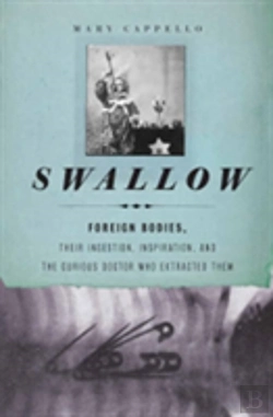 Bertrand.pt - Swallow