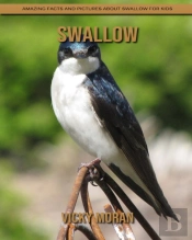 Swallow
