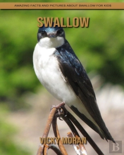 Bertrand.pt - Swallow