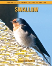 Swallow