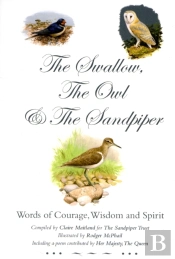 Swallow, The Owl And The Sandpiper