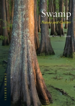 Bertrand.pt - Swamp