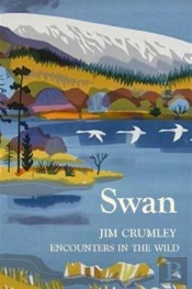 Swan