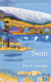 Swan