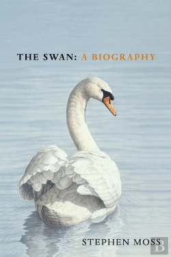 Bertrand.pt - Swan