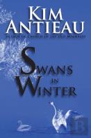Swans In Winter