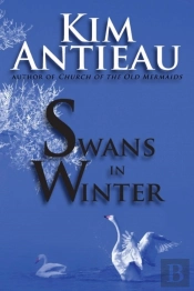 Swans In Winter