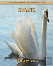 Swans