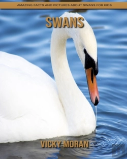 Bertrand.pt - Swans
