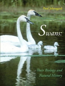 Bertrand.pt - Swans