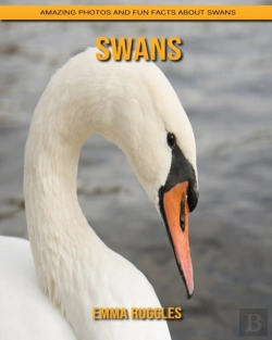 Bertrand.pt - Swans