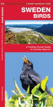 Sweden Birds
