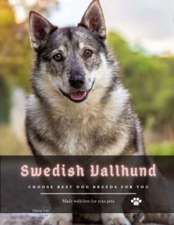 Bertrand.pt - Swedish Vallhund