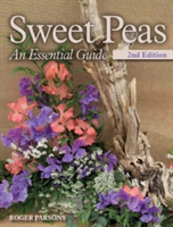 Bertrand.pt - Sweet Peas