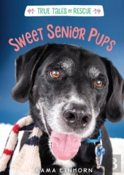 Sweet Senior Pups