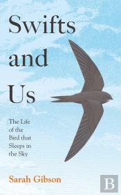 Swifts And Us