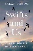 Swifts And Us