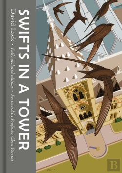 Bertrand.pt - Swifts In A Tower