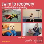 Swim To Recovery: Canine Hydrotherapy Healing