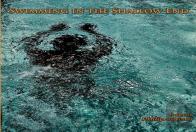 Swimming In The Shallow End