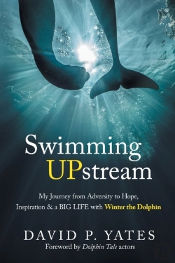 Bertrand.pt - Swimming Upstream